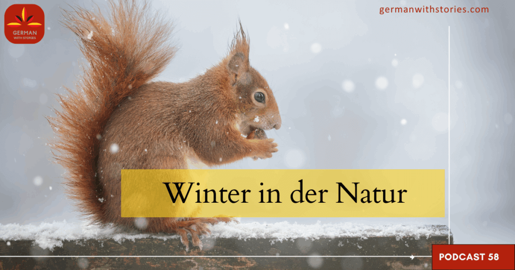 58 - Winter in der Natur
